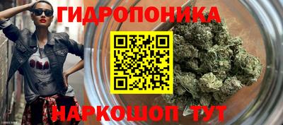 дмт Пушкино