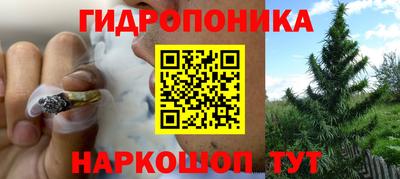 прущие грибы Пугачёв
